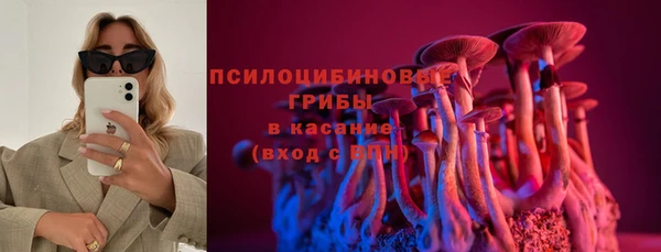 ECSTASY Белокуриха