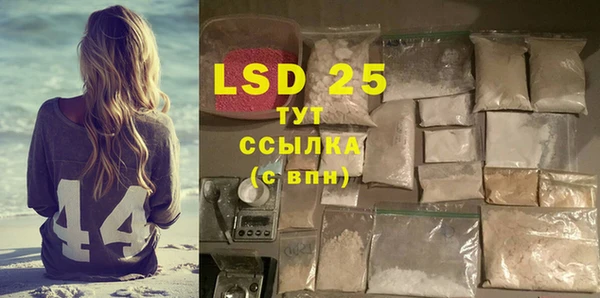 ECSTASY Белокуриха