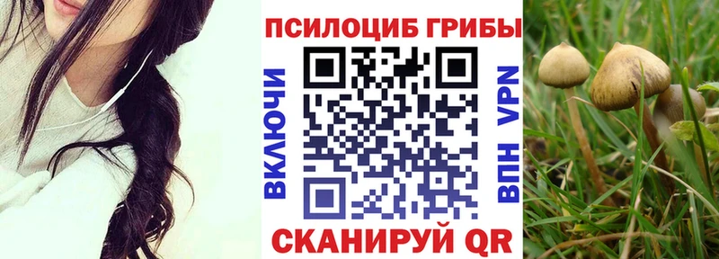 Галлюциногенные грибы GOLDEN TEACHER  Купить  Беломорск 